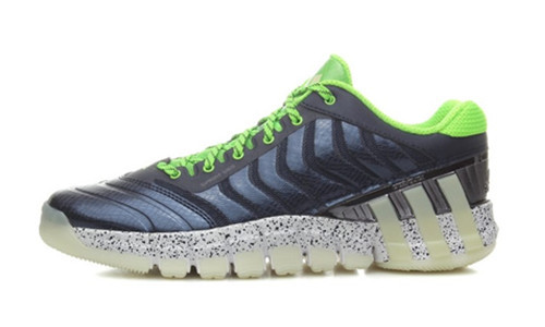 adipure crazyquick 2 low C76187 林书豪 利拉德 上脚