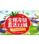 促销活动：京东商城 顺丰优选旗舰店