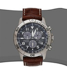 好表 西铁城钛金属表壳光动能男表