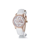 精品！FIYTA飞亚达 摄影师系列四叶草 机械女士手表