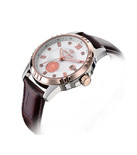 TIANWANG 天王马踏飞燕男式机械手表