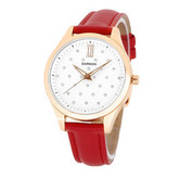 送女友！DAMSON 时尚系列石英女士手表 DG2118BR